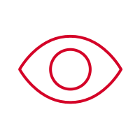 Vision